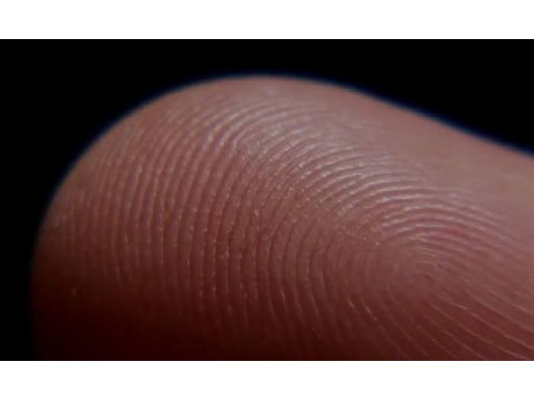 關(guān)于半導(dǎo)體生物指紋頭，你需要知道這些